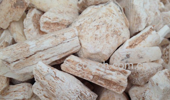 果蔬百科龙齿的功效与作用-0