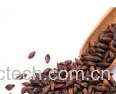 果蔬百科大麦叶的功效与作用-0