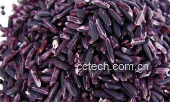 果蔬百科紫米的功效与作用-0