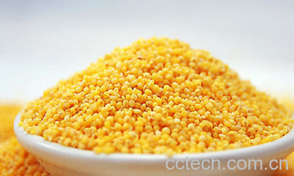 果蔬百科小米的保存方法-0