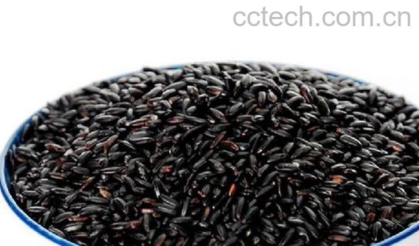 果蔬百科黑糯米的功效与作用及食用方法-0