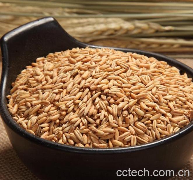 果蔬百科燕麦是碱性食品吗 吃燕麦的好处有哪些-0