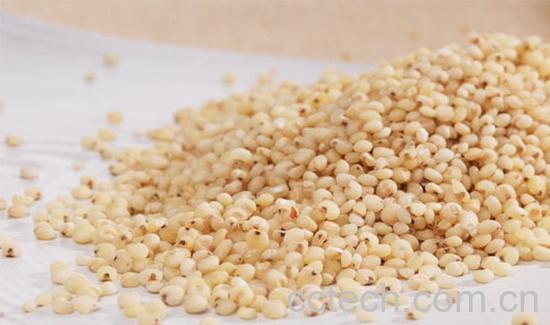 果蔬百科高粱米怎么吃 高粱米的做法大全-0