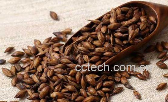 果蔬百科炒麦芽的功效与作用-0