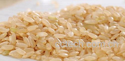 果蔬百科糙米的营养价值 糙米吃法-0