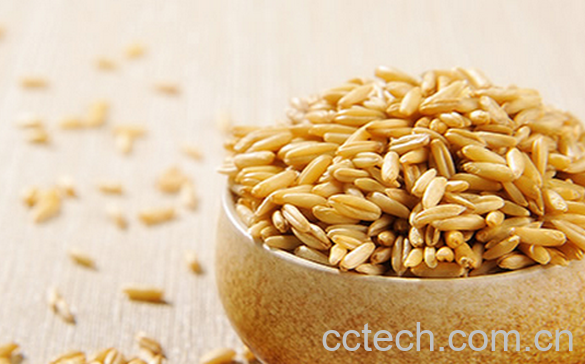 果蔬百科燕麦的功效与作用-0