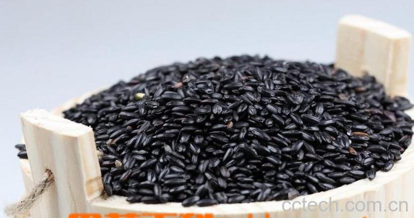 果蔬百科黑米怎么吃 黑米的功效与作用-0