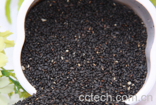 果蔬百科黑小米的营养价值与功效-0