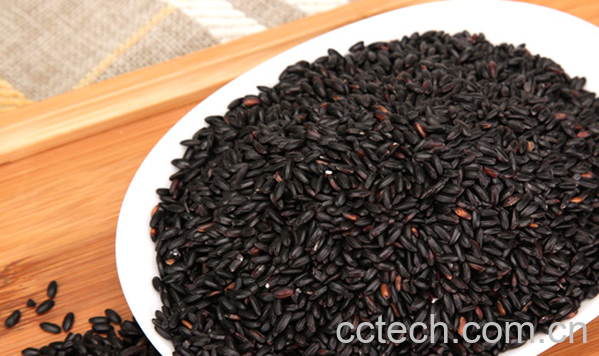 果蔬百科黑米的营养价值与功效-0