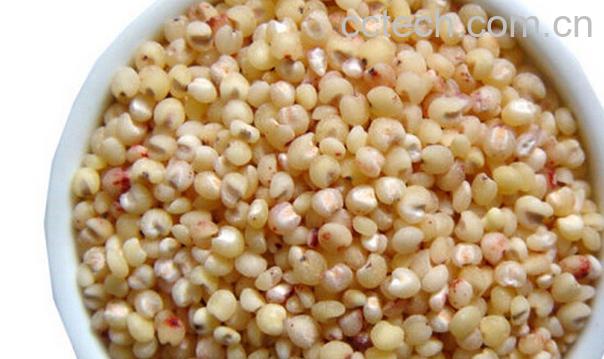 果蔬百科高粱米的吃法-0