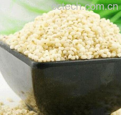 果蔬百科高粱米的做法-0