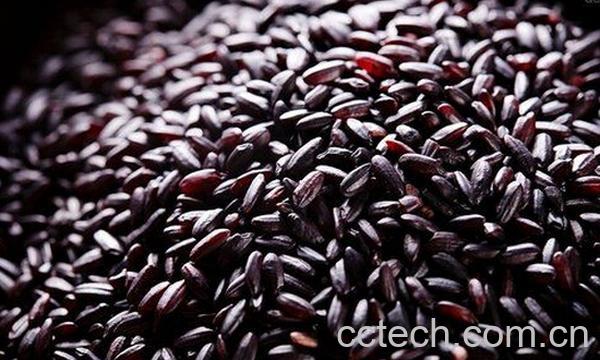 果蔬百科健康米的营养价值与功效-0