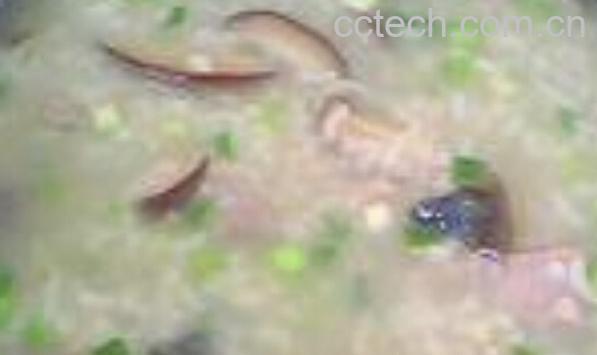 果蔬百科香菇皮蛋粥-0