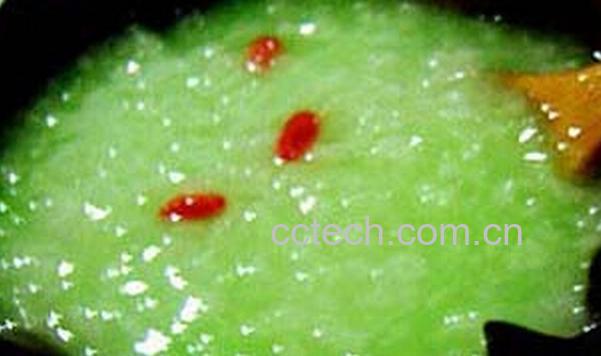 果蔬百科瘦身粥-0