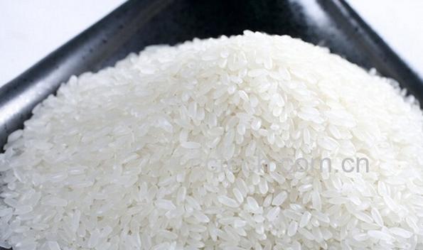 果蔬百科五常大米-0