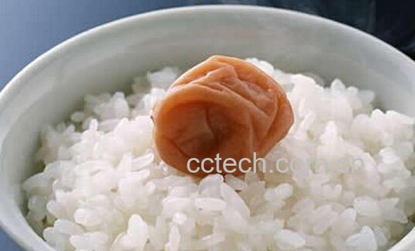 果蔬百科大米饭-0