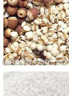 果蔬百科山药薏米芡实粥-0