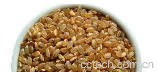 果蔬百科糙米的功效与作用 -0