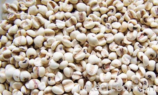 果蔬百科怎么挑选好的薏米-0