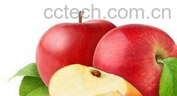 果蔬百科苹果粥的功效和做法-0