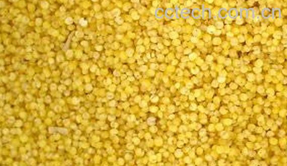 果蔬百科秫米-0