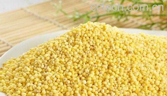 果蔬百科大黄米和黄小米的区别-0