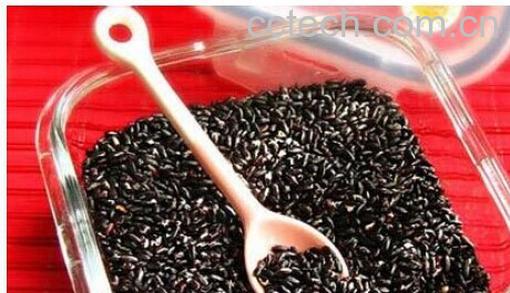 果蔬百科黑米-0