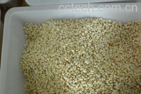 果蔬百科高粱米-0