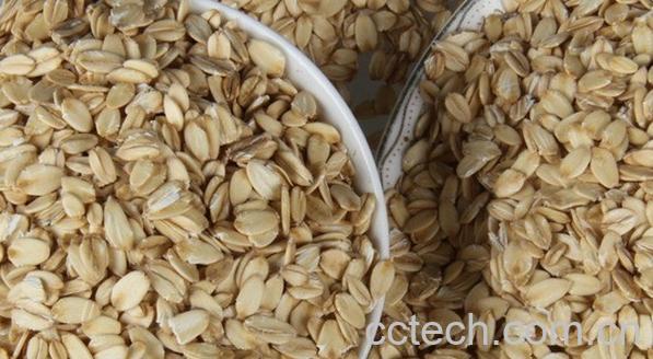 果蔬百科燕麦-0