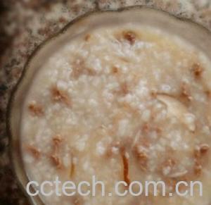 果蔬百科香菇瘦肉粥-0