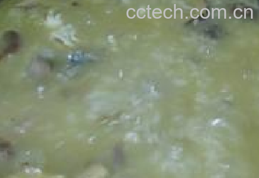 果蔬百科海马粥-0