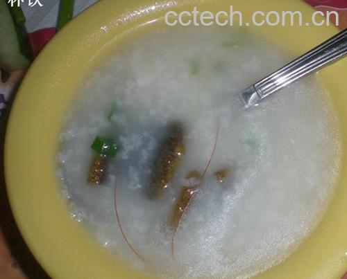 果蔬百科鳗鱼粥-0