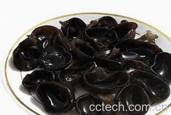 果蔬百科木耳-0