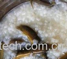 果蔬百科泥鳅粥-0