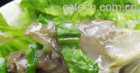 果蔬百科鲜香鱼头粥-0