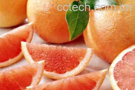 果蔬百科西柚-0