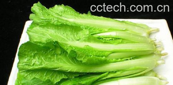 果蔬百科小白菜-0