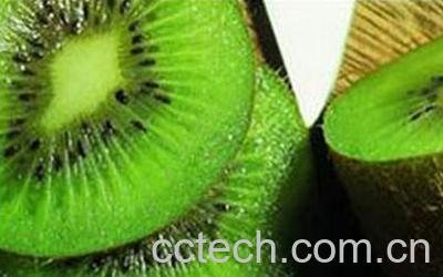 果蔬百科猕猴桃-0