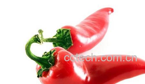 果蔬百科辣椒-0