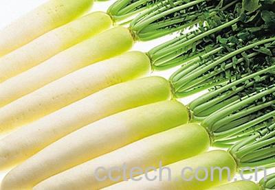 果蔬百科萝卜-0