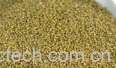 果蔬百科绿小米-0