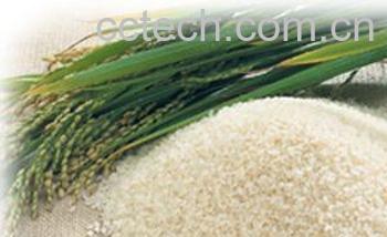 果蔬百科大米-0