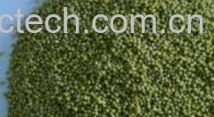 果蔬百科绿小米-0