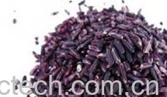 果蔬百科紫米-0