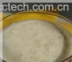 果蔬百科牛奶杏仁粥-0