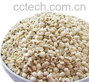 果蔬百科菱角紫草粥-0