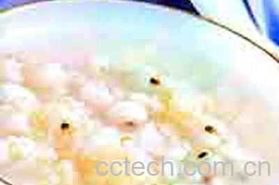 果蔬百科绵茵陈粥的做法-0