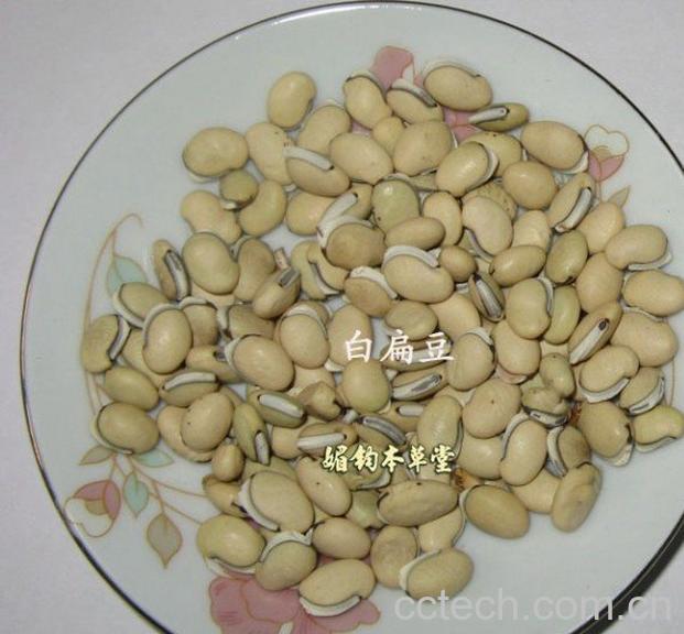 果蔬百科白扁豆粥-0