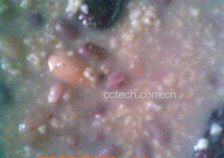 果蔬百科红豆薏米燕麦粥-0