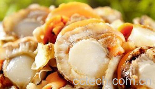 扇贝肉的内脏怎么处理-1